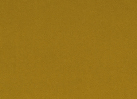 Paloma mustard