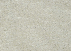 Lamas bone
