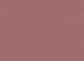 Romano coral