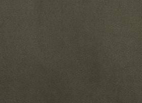 Kenya olive