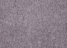 Bali lilac