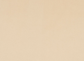 Paloma cream