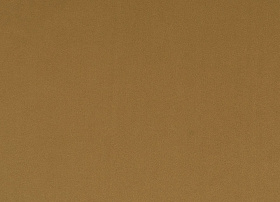 Paloma camel