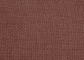 Agava coral