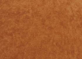Tango terra