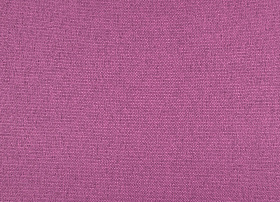 Bravo purple