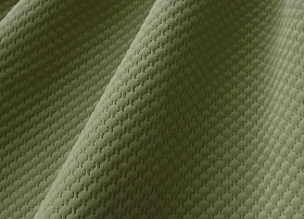 Sota olive