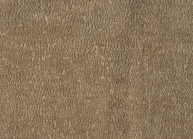 Life Beige