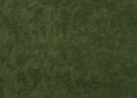 Tango forest