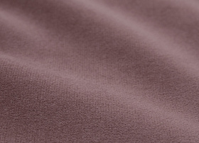 NEWTONE rose